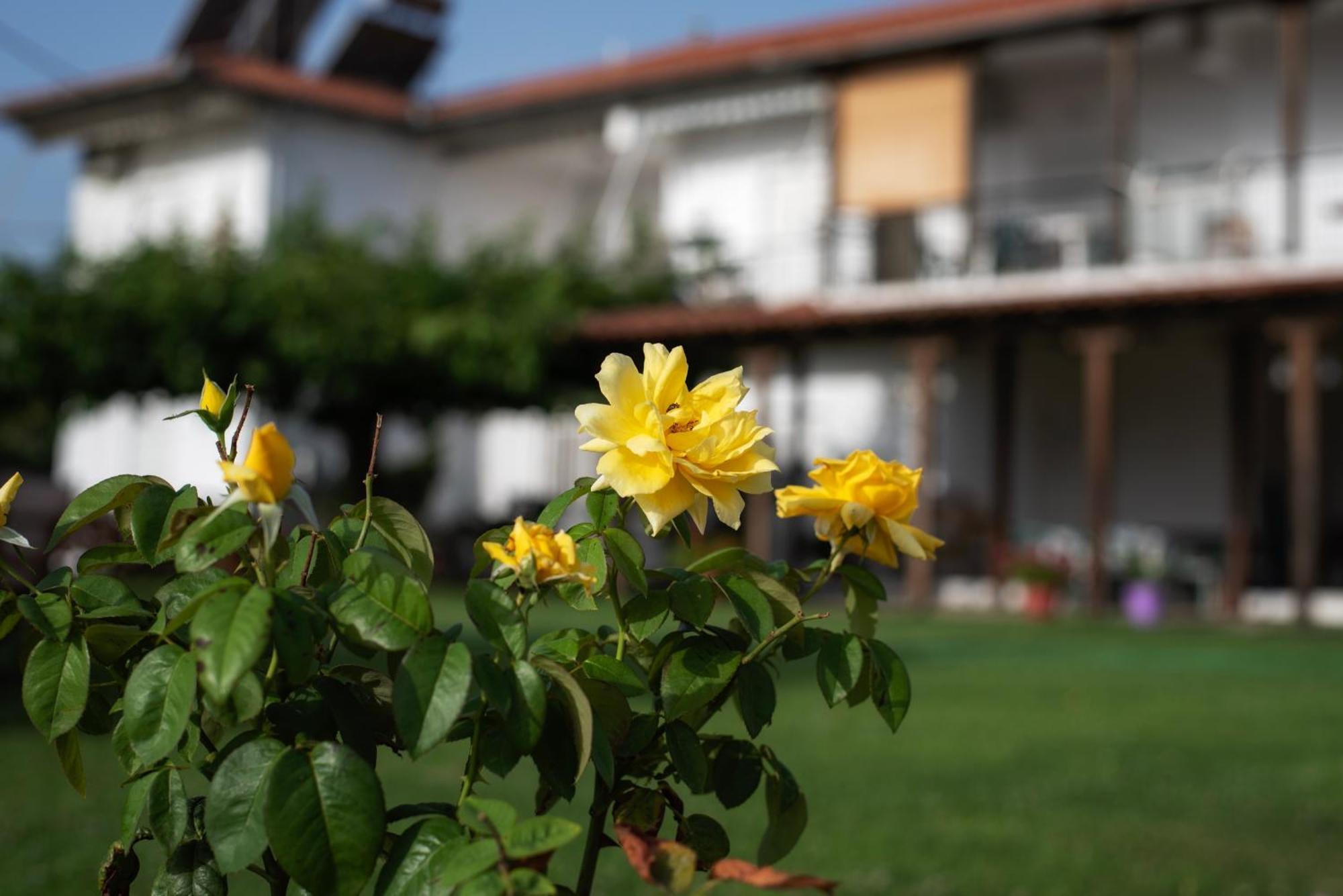 Marilena Apartments Anastasiou Velika  Exteriér fotografie